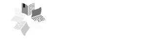 Division of Library Information Services